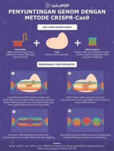 Teknik Crispr Untuk Penyembuhan Genetik.