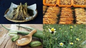 Khasiat Herbal Atasi Rambut Rontok