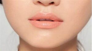 Lipstik Natural Harian Edisi 2025