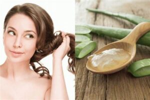 Manfaat Aloe Vera Untuk Rambut