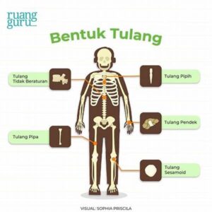 Pengaruh Tai Chi Pada Struktur Tulang