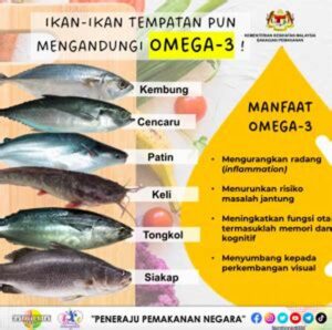 Ikan Dengan Kandungan Vitamin D Tertinggi