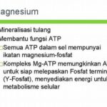 Fungsi Magnesium Dalam Mineralisasi Tulang