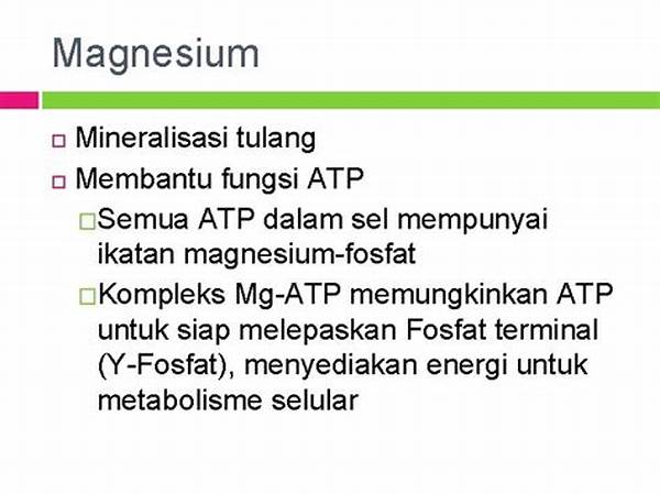 Fungsi Magnesium Dalam Mineralisasi Tulang