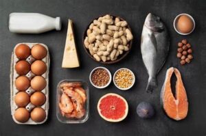 Sumber Protein Untuk Kesehatan Tulang