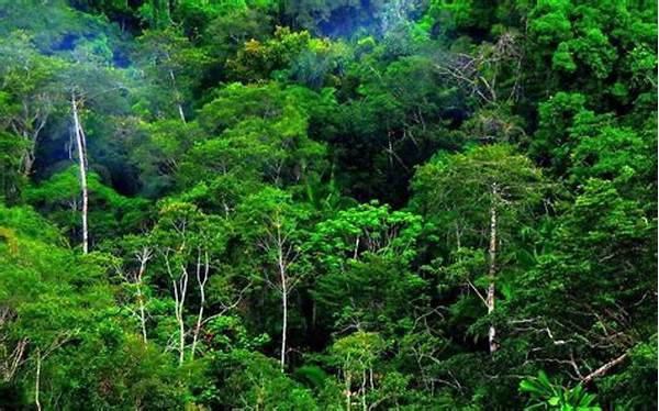 Manfaat Ekosistem Hutan Tropis