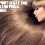Tips Rambut Sehat Dan Bercahaya