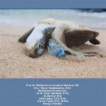 Metode Pengawasan Sampah Laut