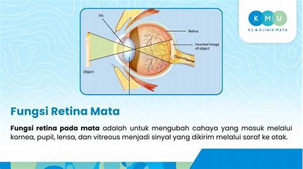 Pengaruh Vitamin A Pada Fungsi Retina
