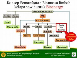 Bioenergi Dari Limbah Pertanian