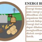 Biomassa Sebagai Sumber Energi Lokal