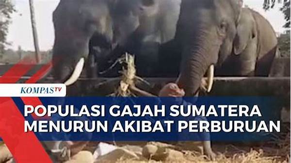 Gajah Sumatera Populasi Terus Menurun