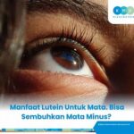 Efek Lutein Pada Kesehatan Mata Dan Retina