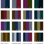 Kombinasi Warna Natural Elegan