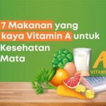 Rekomendasi Makanan Kaya Vitamin A