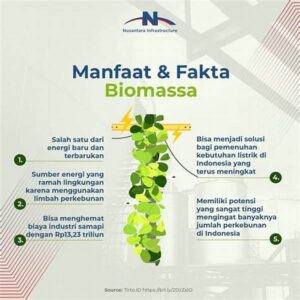 Analisis Biaya Dan Manfaat Biomassa