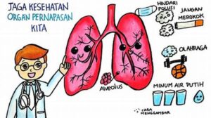 Berikut Ini Upaya Menjaga Kesehatan Paru-paru Yang Tepat Adalah