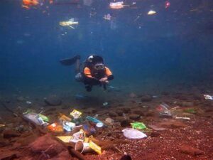 Dampak Ekosistem Laut Plastik