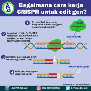 Metode Pengiriman Gen Dalam Terapi Gen Penyakit Genetik