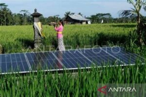 Pengurangan Emisi Melalui Energi Biomassa