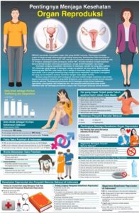 Pentingnya Olahraga Bagi Kesehatan Reproduksi