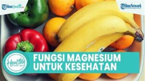 Peran Gizi Magnesium Pada Kesehatan Tulang