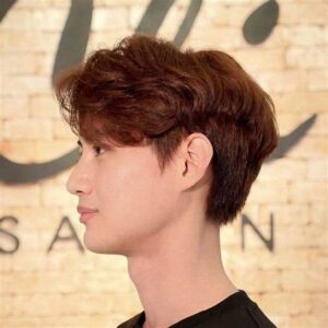 Pilihan Model Rambut Pria Korea