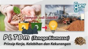 Potensi Biomassa Di Daerah Pedesaan