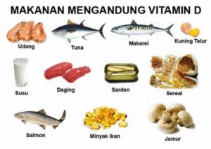 Sumber Makanan Kaya Vitamin D