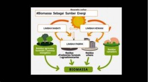 Konversi Biomassa Menjadi Energi
