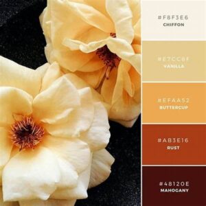 Palet Warna Elegan Untuk Pria