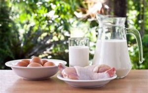 Peran Protein Dalam Kesehatan Tulang