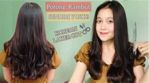 Alat Potong Layer Gaya Korea