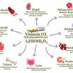 Faktor Penghambat Penyerapan Vitamin D