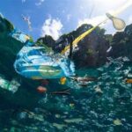 Gangguan Reproduksi Biota Laut Oleh Plastik