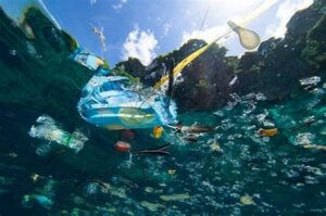 Gangguan Reproduksi Biota Laut Oleh Plastik