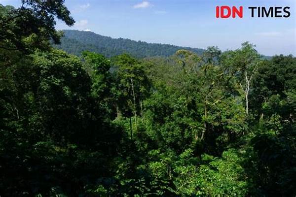 Konservasi Hutan Hujan Tropis