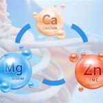 Mineral Magnesium Memperkuat Tulang