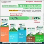 **peran Pemerintah Dalam Energi Terbarukan Berkelanjutan**