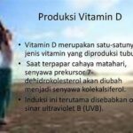 Produksi Vitamin D Oleh Tubuh