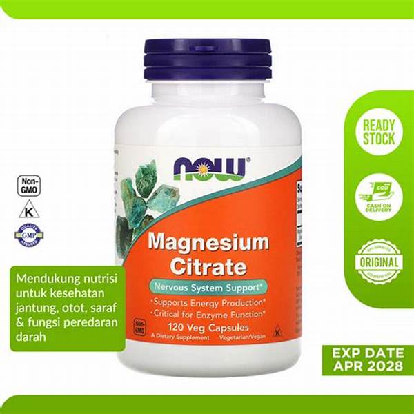 “suplemen Magnesium Untuk Pemulihan Tulang”