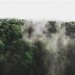 Bahan Alternatif Pengganti Plastik Konvensional