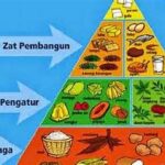 Cara Mengatur Porsi Makan Sehat