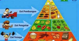 Cara Mengatur Porsi Makan Sehat