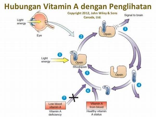 Konsumsi Vitamin A Dan Kualitas Penglihatan
