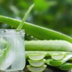 Masker Rambut Lidah Buaya Terbaik