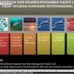 Penguatan Aturan Perlindungan Ekosistem Laut