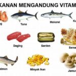 Sumber Vitamin D Dari Ikan
