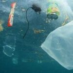 Dampak Polusi Plastik Terhadap Laut
