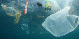 Dampak Polusi Plastik Terhadap Laut